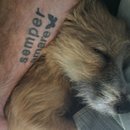 Atti Adventures (625530)