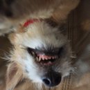 Atti Adventures (625597)