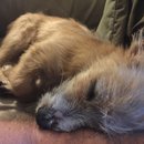 Atti Adventures (625600)