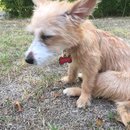 Atti Adventures (625569)