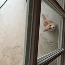 Atti Adventures (625583)