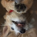 Atti Adventures (625596)