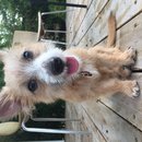 Atti Adventures (625541)