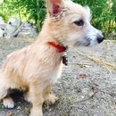 Atti Adventures (625560)