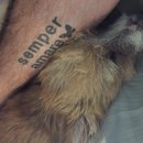 Atti Adventures (625538)