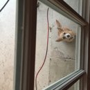 Atti Adventures (625573)