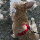 Trip to Kim's House (627284)