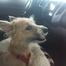 Trip to Kim's House (627336)