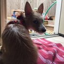 Trip to Kim's House (627303)