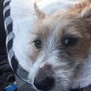 Trip to Kim's House (627233)