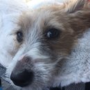 Trip to Kim's House (627267)