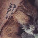 Atti Adventures (625533)