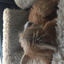 Roadtrip with Atti (628399)