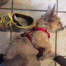 Trip to Kim's House (627362)