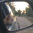 Roadtrip with Atti (628444)