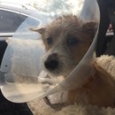 Atti Surgery (628393)