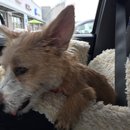 Roadtrip with Atti (628374)