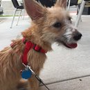 Roadtrip with Atti (628481)