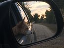 Roadtrip with Atti (628469)
