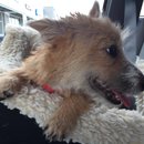 Roadtrip with Atti (628501)