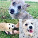 Outings with Atti (627354)