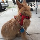 Roadtrip with Atti (628404)