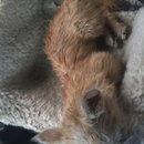 Roadtrip with Atti (628367)