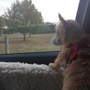 Roadtrip with Atti (628477)