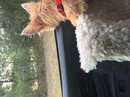 Roadtrip with Atti (628516)