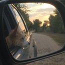 Roadtrip with Atti (628388)