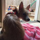 Trip to Kim's House (627410)