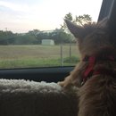 Roadtrip with Atti (628506)