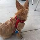 Roadtrip with Atti (628475)