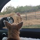 Roadtrip with Atti (628467)