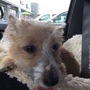 Roadtrip with Atti (628453)