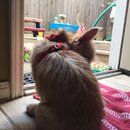 Trip to Kim's House (627420)