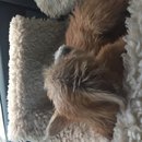 Roadtrip with Atti (628520)