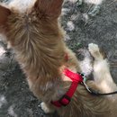 Trip to Kim's House (627386)