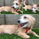 Outings with Atti (627411)