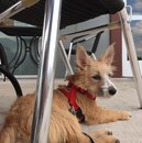 Roadtrip with Atti (628368)