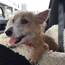 Roadtrip with Atti (628433)