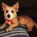 Trip to Kim's House (628436)