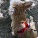 Trip to Kim's House (627390)