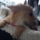 Roadtrip with Atti (628407)