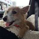 Roadtrip with Atti (628409)