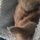 Roadtrip with Atti (628371)