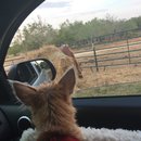 Roadtrip with Atti (628398)