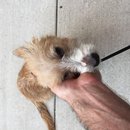 Roadtrip with Atti (628513)