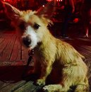 Outings with Atti (627404)