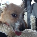 Roadtrip with Atti (628401)